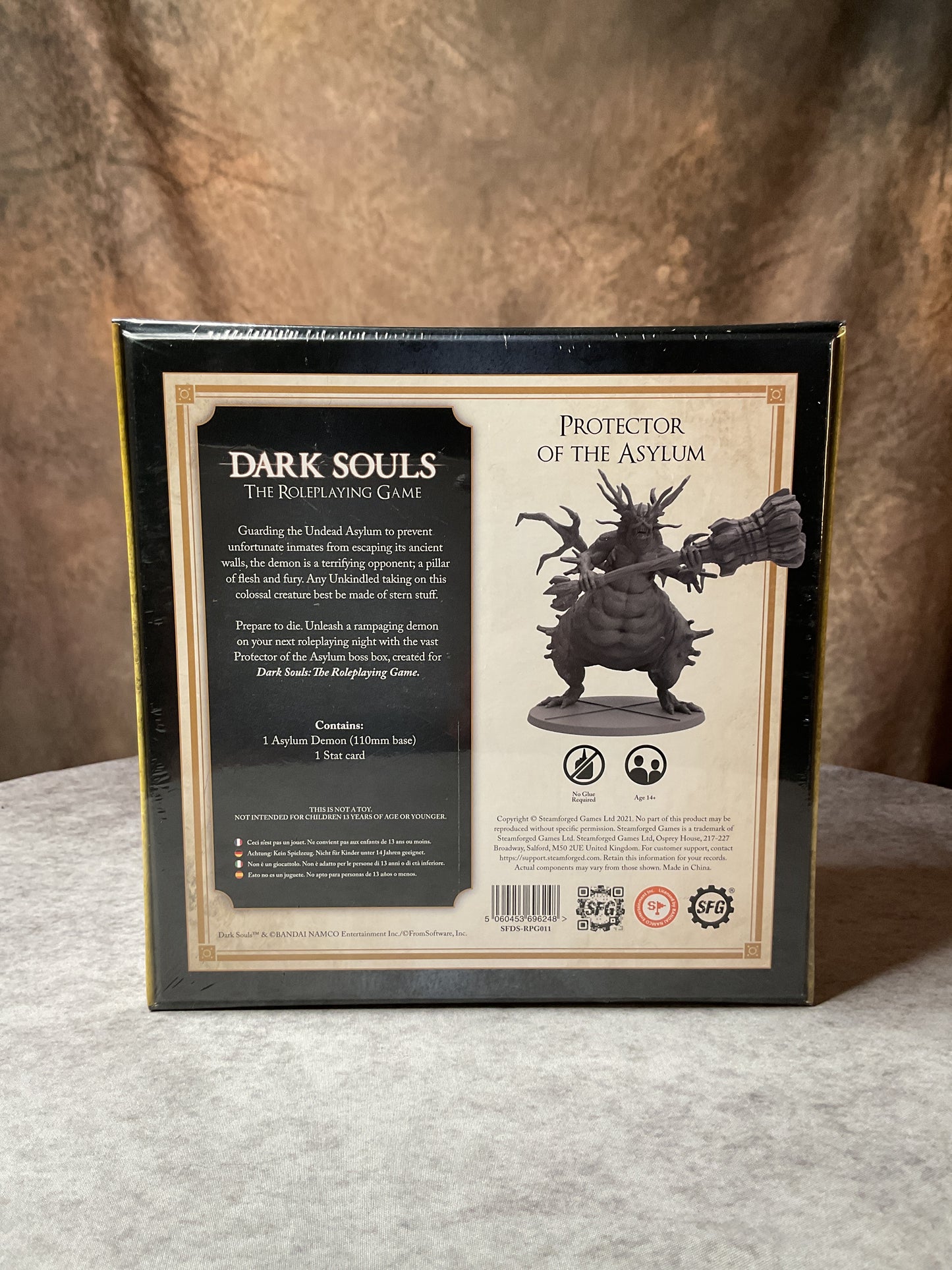 Miniatures – Dark Souls RPG – Protector of the Asylum