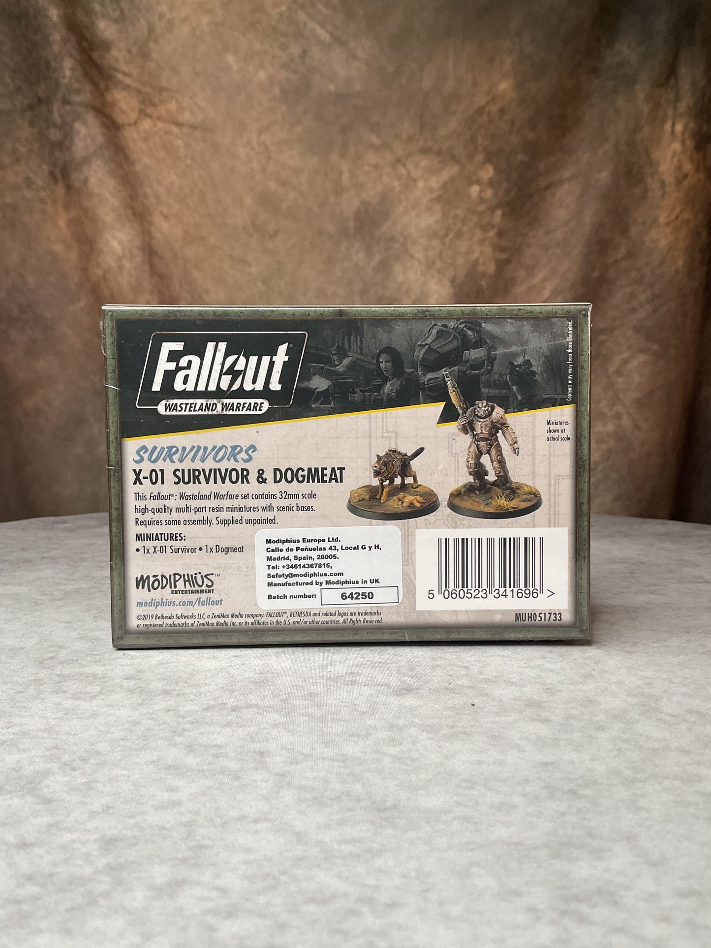 Miniatures - X-01 Survivor & Dogmeat