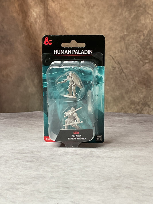 Miniatures – D&D Nolzur's Marvelous Miniatures: Unpainted Minis– Wave 13– Human Paladin Male